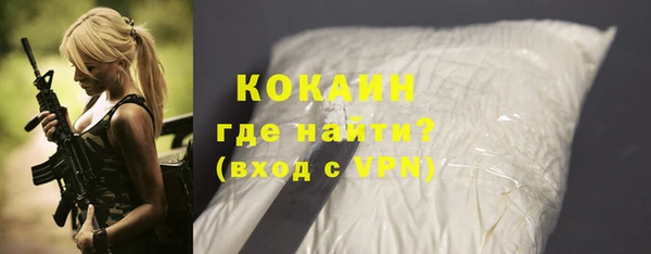 бошки Коряжма