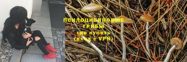 прущая мука Корсаков