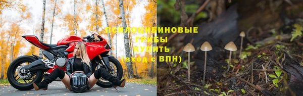 бошки Коряжма